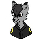 anthro brown_eyes bust_portrait canid canine canis clothing digital_drawing_(artwork) digital_media_(artwork) domestic_cat felid feline felis fennec_fox fox fur furball-fox furball_(furball-fox) grey_body grey_fur hoodie hybrid male mammal portrait solo topwear true_fox wolf