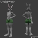 1:1 anthro blender_(artwork) blender_cycles butt clothed clothing digital_media_(artwork) front_and_back fur gin_(lagomorph_dude) green_clothing green_eyes grey_background grey_body grey_fur hi_res lagomorph lagomorph_dude leporid looking_at_viewer male mammal partially_clothed rabbit rabbit_(lagomorph_dude) simple_background solo underwear warfare_machine watermark