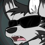 1:1 animated anthro bae_bunny_(artist) canid canine canis domestic_dog eyewear fur grey_body grey_fur husky jim_(itsjimmm) low_res male mammal nordic_sled_dog open_mouth recursive_object short_playtime spitz sunglasses