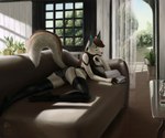 Rating: q
ID: 5038946
Date: 2024-09-09 05:57:16 -0400
Status: active
Score: 29
3d_(artwork) anthro beverage book canid canine clothing coffee curtains digital_media_(artwork) ear_piercing female fennec_fox flower fox furniture gauged_ear glass glass_table hair inside legwear lingerie mammal piercing plant reading sky sofa solo stockings table tail techiesxc true_fox underwear vase window post #5038946