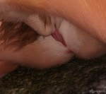 3d_(artwork) after_transformation anthro anus brown_hair conditional_dnp cunnilingus digital_media_(artwork) duo female female/female fur gender_transformation genitals hair hi_res mammal oral pink_body pink_fur pussy rodent sciurid sex shawoo spread_anus spread_legs spreading tongue transformation transformation_sequence tree_squirrel vaginal