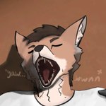 1:1 ambiguous_gender anthro brown_body brown_fur brown_hair canid canine canis clothing coyote detodayote detomiks eyes_closed fur hair mammal mouth_shot open_mouth pink_tongue shirt solo tan_body tan_fur teeth tongue topwear white_clothing white_shirt white_topwear yawn