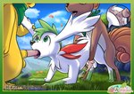 anal balls farsek fellatio feral generation_1_pokemon generation_4_pokemon genitals group group_sex hi_res knot legendary_pokemon male male/male nintendo oral penile pikachu pokemon pokemon_(species) pokemon_mystery_dungeon sex shaymin sky_forme_shaymin spike_chunsoft spitroast threesome trio vulpix