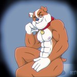 Rating: q
ID: 5589889
Date: 2025-05-22 01:54:17 -0400
Status: active
Score: 4
2019 4_fingers abs aged_up anthro anthrofied biceps brown_body brown_fur bulldog button_ears canid canine canis closed_smile collar collar_only collar_tag digital_media_(artwork) domestic_dog eyebrows fabfelipe fingers floppy_ears fur fur_markings gloves_(marking) hi_res male mammal markings mastiff molosser mouth_closed multicolored_body multicolored_fur muscular muscular_anthro muscular_male nipples nude nude_anthro nude_male paw_patrol red_collar rubble_(paw_patrol) short_tail smile snaggle_teeth solo tail two_tone_body two_tone_fur white_body white_fur post #5589889