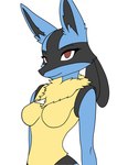 anthro breasts canid canine darexer featureless_breasts female generation_4_pokemon hi_res humanoid lucario mammal medium_breasts nintendo pokemon pokemon_(species) solo