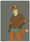 absurd_res anthro border bulge canid canine clothing endlesstope fox hi_res male mammal solo underwear white_border zidan_(endlestope)