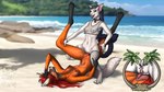 16:9 anthro barbell_piercing beach blue_eyes breasts canid canine canis christina_piercing claw_(weapon) clitoral_hood_piercing clitoris clitoris_piercing clothing collar crosswise_nipple_piercing day domestic_cat donshadowwolf duo ear_piercing eyebrow_piercing facial_piercing felid feline felis female female/female fishnet_clothing fishnet_legwear fishnet_topwear flesh_tunnel furgonomics furry-specific_piercing gauged_ear genital_piercing genitals hi_res kisa_(donshadowwolf) labret_piercing legwear lip_piercing looking_at_viewer looking_pleasured lunara_(donshadowwolf) mammal melee_weapon mostly_nude muzzle_piercing navel navel_piercing nipple_barbell nipple_piercing nipples nose_piercing open_mouth orange_breasts outside palm_tree piercing pink_nipples plant pussy pussy_piercing pussy_ring ring_piercing sea sex tail tongue tongue_piercing topwear tree tribadism vaginal water weapon white_breasts widescreen wolf