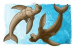 2020 anthro bare_shoulders brown_body brown_fur brown_hair caribou_(artist) cetacean countershade_torso countershading dolphin dolphin_tail dorsal_fin fin flipper_hands fur glistening green_eyes hair hybrid male mammal marine merfolk model_sheet navel pecs pinniped reflection ringstudios seal signature slightly_muscular split_form toothed_whale tuft_(ringstudios) underwater water water_reflection whiskers