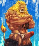 abs absurd_res anthro asian_clothing balls bandai_namco biceps clothing clothing_aside digimon digimon_(species) east_asian_clothing fundoshi fundoshi_aside genitals hi_res japanese_clothing leomon lost_out_gi male mane muscular muscular_anthro muscular_male pecs penis solo tail underwear underwear_aside vein veiny_penis