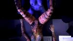 Rating: e
ID: 557733
Date: 2014-11-13 11:22:49 -0500
Status: active
Score: 17
16:9 2014 3d_(artwork) 3d_animation alien alien_humanoid anal anal_penetration animated areola aria_t'loak asari big_breasts bioware breasts digital_media_(artwork) duo electronic_arts erect_nipples erection female female_penetrated genitals gynomorph gynomorph/female gynomorph_penetrating gynomorph_penetrating_female human humanoid intersex intersex/female intersex_penetrating intersex_penetrating_female interspecies jack_(mass_effect) mammal mass_effect navel nipples not_furry nude nyl2 penetration penis pussy sex short_playtime source_filmmaker_(artwork) torso_shot widescreen post #557733