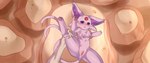 blush detailed_background duo eeveelution espeon felid feline feline_fantasies female feral forked_tail fur generation_2_pokemon genitals hi_res mammal nintendo nyancy_(ff) pawpads paws pilitan pokemon pokemon_(species) purple_body purple_eyes purple_fur pussy quadruped tail unusual_anatomy unusual_tail virgin