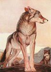 1895 19th_century akela ambiguous_gender ancient_art brown_body brown_fur canid canine canis digitigrade duo feral fur hi_res john_lockwood_kipling male mammal nude outside public_domain quadruped standing the_jungle_book traditional_media_(artwork) wolf