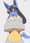 2023 anthro big_breasts biped black_body blue_body blue_fur blush breasts chest_tuft clothed clothing cooliehigh curvy_anthro curvy_female curvy_figure eyelashes female front_view fur generation_4_pokemon grey_background grey_clothing grey_hoodie grey_topwear hi_res hoodie hourglass_figure hourglass_figured_anthro hourglass_figured_female looking_at_viewer lucario midriff navel nintendo pokemon pokemon_(species) red_eyes simple_background small_waist smile solo tail tan_body topwear tuft under_boob wide_hipped_anthro wide_hipped_female wide_hips yellow_body yellow_fur