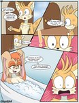 age_difference anthro bath bathing bathtub canid canine comic dialogue duo female fox hi_res lagomorph leporid luckster1234 male male/female mammal mature_female miles_prower older_female rabbit sega sonic_the_hedgehog_(series) vanilla_the_rabbit younger_male