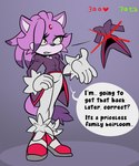 2023 absurd_res anthro baebot blaze_the_cat clothing domestic_cat felid feline felis female footwear gloves hair_down handwear hi_res high_heels mammal sega shoes solo sonic_the_hedgehog_(series) strip_game