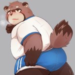 1:1 2024 anthro belly blush bottomwear brown_body brown_fur butt canid canine clothing fur hi_res i_0rai kemono male mammal overweight overweight_male raccoon_dog shirt shorts simple_background solo tanuki topwear