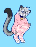 absurd_res anthro bell bell_collar bite biting_lip biting_own_lip blue_collar blue_eyes blush blush_lines claw_slits clothed clothing collar crossdressing crouching digital_media_(artwork) dipstick_ears dipstick_tail domestic_cat ear_markings egyptian_mau felid feline felis femboy footwear fur gold_bell grey_body hair hi_res hoodie leg_warmers legwear looking_at_viewer male mammal markings multicolored_ears nixuelle oversized_clothing oversized_hoodie oversized_topwear pattern_clothing pink_clothing pink_nose simple_background socks solo striped_clothing stripes tail tail_markings teeth thewanderingangel thigh_high_stockings thigh_highs thigh_socks topwear