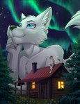 2024 anthro aurora_(phenomenon) biped blue_eyes brown_body brown_fur cabin canid canine canis chest_tuft chimney colored crazymangak detailed_background digital_drawing_(artwork) digital_media_(artwork) duo extreme_size_difference flower fur gesture grass hand_gesture hi_res larger_anthro larger_male lupus_kintsugi macro male mammal multicolored_body multicolored_fur night nude orange_eyes outside paws plant pointing pointing_up shaded size_difference sky smaller_anthro smaller_male smile star starry_sky tail tan_body tan_fur tree tuft two_tone_body two_tone_fur white_body white_fur wolf