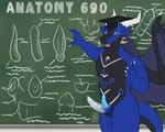 2_penises 5:4 anthro black_body black_countershading blue_penis chalkboard countershading dragon genitals graduation_cap hi_res horn lecturing looking_at_viewer male multi_genitalia multi_penis mythological_creature mythological_scalie mythology palehorntea penis ryvin scalie solo tail text white_penis wings