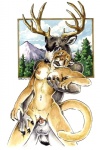 2002 anthro anthro_on_anthro antlers areola balls bite biting_another biting_partner bodyguard_position breast_grab breasts cougar deer duo erection eyes_closed felid feline female female_penetrated from_behind_position front_view genitals grope hand_on_breast heather_bruton horn interspecies male male/female male_penetrating male_penetrating_female mammal medium_breasts mule_deer navel new_world_deer nipples nude penetration penile penile_penetration penis penis_in_pussy predator/prey predator_penetrated prey_penetrating prey_penetrating_predator pussy sex simple_background standing standing_sex tail vaginal vaginal_penetration white_background