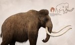 ambiguous_gender brown_body brown_fur cave_painting elephantid feral fur hi_res julio_lacerda mammal mammoth prehistoric_species proboscidean proboscis_(anatomy) quadruped scientific_name solo tail tail_tuft trunk_(anatomy) tuft tusks