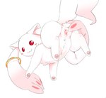 anus bodily_fluids butt chest_tuft clitoris cum cum_in_pussy cum_inside female feral fur genital_fluids genitals hi_res incubator_(puella_magi) kirichiiii kyubey looking_at_viewer looking_back looking_back_at_viewer pawpads paws presenting presenting_hindquarters puella_magi puella_magi_madoka_magica pussy quadruped red_eyes ring solo spread_pussy spreading tuft white_body white_fur