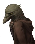 Rating: s
ID: 5601241
Date: 2025-05-27 00:05:32 -0400
Status: active
Score: 29
4:5 aarakocra_(dnd) anthro avian bird black_body black_feathers cloak clothing corvid corvus_(genus) crow dungeons_and_dragons feathers hasbro hi_res kleek looking_at_viewer male oscine passerine peregr1ne portrait scar simple_background solo topwear vest white_background wizards_of_the_coast yellow_eyes post #5601241