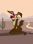 2023 3:4 3_toes anthro blush brown_body brown_fur canid canine canis clothing_on_face coyote dracojeff feet fur kneeling looking_at_viewer looney_tunes male mammal nude nude_anthro nude_male solo tail toes warner_brothers wile_e._coyote yellow_sclera