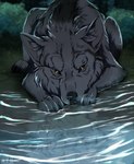 Rating: s
ID: 5555993
Date: 2025-05-07 18:17:25 -0400
Status: active
Score: 6
absurd_res black_body black_fur black_nose canid canine canis cheek_tuft digital_media_(artwork) facial_tuft feral fluffy fur grey_body grey_fur hi_res huge_filesize looking_at_viewer lying male mammal on_front reflection shyryp solo tuft water wolf yellow_eyes post #5555993