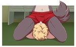 2023 anthro athletic_wear beastars blonde_hair blonde_haired_crotch_sniffer bottomwear building canid canine canis clothing dominant dominant_anthro dominant_female faceless_anthro faceless_character faceless_female facesitting female floor fur gym_bottomwear gym_shorts hair hi_res human inside juno_(beastars) male mammal netflix pinned pinned_to_ground red_bottomwear red_clothing red_shorts shorts sitting_on_another submissive submissive_human submissive_male tommysamash wall_(structure) wolf