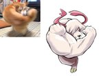 Rating: s
ID: 5605336
Date: 2025-05-28 19:32:13 -0400
Status: active
Score: 6
anthro bandai_namco biceps digimon digimon_(species) floppy_ears fur humor labramon manchi_kaaan meme muscular muscular_anthro redraw solo white_body white_fur post #5605336