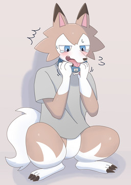 post #5686079