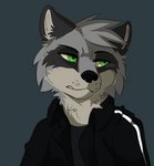 Rating: s
ID: 2300576
Date: 2020-06-19 23:23:28 -0400
Status: active
Score: 23
annoyed anthro biped black_clothing black_nose black_topwear blaze_(marking) clenched_teeth clothed clothing digital_media_(artwork) eye_markings facial_markings front_view fully_clothed green_eyes grey_background grey_body grey_hair hair half-length_portrait head_markings jacket male mammal markings martinballamore portrait procyonid raccoon simple_background sneer solo teeth topwear unimpressed post #2300576