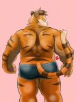 2019 absurd_res anthro butt clothing felid hi_res humanoid_hands kamui_shirow male mammal pantherine pink_background simple_background slightly_chubby solo tiger underwear