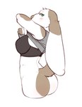 Rating: q
ID: 4816214
Date: 2024-05-30 01:43:37 -0400
Status: active
Score: 87
absurd_res anthro ayannzer bottomless bra clothed clothing domestic_rabbit ears_down female hi_res lagomorph leporid lop_rabbit mammal oryctolagus partially_clothed pivoted_ears rabbit solo underwear undressing post #4816214