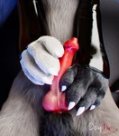 3d_(artwork) animal_genitalia animal_penis anthro balls c4d canine_genitalia canine_penis cinema_4d_(artwork) daytia digital_media_(artwork) duo erection feet fluffy fur genitals hi_res knot lamp loft male nurse_nozzle paws penis rexouium toes warm_light warm_lighting white_body white_fur