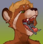 Rating: q
ID: 5627362
Date: 2025-06-07 18:59:02 -0400
Status: active
Score: 9
2015 ailurid anthro bat blonde_hair blush blush_lines bodily_fluids brown_body drooling duo extreme_size_difference eyes_closed fangs green_background green_eyes grey_background grey_body hair hi_res imminent_vore in_mouth inside_mouth male male/male mammal mawplay micro mouth_shot on_tongue open_mouth red_panda saliva simple_background size_difference tan_body teeth tongue voraciousollie post #5627362