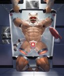 Rating: e
ID: 5181340
Date: 2024-11-14 08:18:16 -0500
Status: active
Score: 68
4_missing_limbs abs absurd_res amputee anthro armpit_hair balls barefoot bdsm bit_gag blindfold body_hair bondage bound chain cuff_(restraint) disability dungeon erection feet felid foreskin front_view gag gagged genitals hair hi_res humanoid_genitalia humanoid_penis inuart2001 kneeling leg_spreader lion male mammal muscular muscular_male muscular_sub nipple_piercing nipple_ring nipples nude objectification open_mouth pantherine pecs penis piercing plantigrade portal_amputation presenting quadruple_amputee restraints retracted_foreskin ring_piercing science_fiction shackles slave solo spreader_bar submissive submissive_male tail tail_cuff thinking_with_portals tongue tongue_out white_hair post #5181340