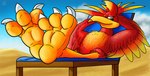 2022 3_toes avian banjo-kazooie beak big_feet bird breegull chair claws digital_media_(artwork) eyelashes feathered_wings feathers feet female feral fol foot_focus furniture green_eyes hands_behind_head hi_res kazooie looking_at_viewer lying on_back one_eye_closed rareware red_body red_feathers sand simple_background sky smile smiling_at_viewer soles solo sunbathing toe_claws toes wings yellow_body yellow_feathers