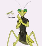 4_legs abs antennae_(anatomy) anthro arthropod arthropod_abdomen bald belt claws clothed clothing colored exoskeleton finger_claws fingers front_view glistening_eyelids green_body green_sclera hands_together hi_res insect joints kogito lidded_eyes looking_at_viewer male mantis priest real reference_image shaded shirt solo species_name spikes spikes_(anatomy) text tight_clothing topwear