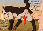 Rating: e
ID: 5089190
Date: 2024-10-02 13:54:37 -0400
Status: active
Score: 930
animal_genitalia animal_penis anus anus_blush balls bestiality bestiality_humiliation bodily_fluids butt canid canine canine_genitalia canine_penis dialogue digitigrade dirty_talk duo erection feral field flirting generation_3_pokemon genital_fluids genitals happy human human_on_feral humanoid_genitalia humanoid_penis imminent_anal imminent_sex insult interspecies knot knotted_penis looking_at_another looking_back male male/male male_feral male_human male_on_feral mammal mightyena nintendo nude outside parooty penis pokemon pokemon_(species) pokephilia precum presenting presenting_anus presenting_hindquarters public public_erection public_exposure public_nudity quadruped raised_leg raised_tail seductive size_difference smaller_feral sun tail tail_anus talking_feral throbbing throbbing_knot throbbing_penis vein veiny_penis yellow_sclera post #5089190