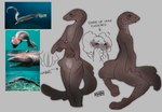 Rating: e
ID: 5428505
Date: 2025-03-12 08:02:36 -0400
Status: active
Score: 61
animal_genitalia anthro blush brown_body chlamydoselachid claspers concept_art english_text eyelashes featureless_chest feet female fin fish flat_chested frill_(anatomy) frilled_shark genitals gills hexanchiform hi_res hybrid marine model_sheet nude paws pussy reference_image shark signature simple_background sitting smile solo solo_in_panel standing teal_eyes text vampfemby post #5428505