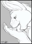 Rating: s
ID: 4426462
Date: 2023-11-20 15:13:40 -0500
Status: active
Score: 11
2007 anthro beachcomber black_border border claws domestic_cat dragon duo felid feline felis finger_claws fur greyscale hair hybrid lagomorph larger_anthro larger_male leporid licking macro male mammal micro_abuse monochrome mr_person mythological_creature mythological_scalie mythology open_mouth person_(mrperson) rabbit scalie simple_background size_difference smaller_anthro smaller_male smile tongue tongue_out post #4426462