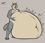 2022 anthro areola beastars belly belly_grab big_belly canid canine canis claws fangs fur hi_res huge_belly husky2paws hyper hyper_belly legoshi_(beastars) male mammal morbidly_obese morbidly_obese_anthro morbidly_obese_male navel nude obese obese_anthro obese_male open_mouth overweight overweight_anthro overweight_male rumbling_stomach signature smile solo standing teeth tongue wide_eyed wolf