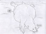 2024 abdominal_bulge ambiguous_gender ambiguous_pred belly big_belly bloated burping feet feral feral_pred fully_inside greyscale hi_res huge_belly lying mammal marine membrane_(anatomy) monochrome on_front pinniped quadruped sand sea_lion short_tail solo sound_effects strega tail toes traditional_media_(artwork) vore webbed_feet webbed_hands whiskers