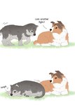 aman_(weibo) black_eyes bodily_fluids brown_sclera canid canine canis colored comic dialogue domestic_dog duo english_text feral fluffy grass herding_dog lying_on_ground mammal on_ground pastoral_dog plant sheepdog simple_background tears text white_background wolf