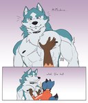 2022 5_fingers abs anthro biceps black_nipples blue_body blue_fur blush blush_lines brand_new_animal canid canine canis clothed clothing collar collar_only dipstick_tail duo english_text female fingers fur gradient_background grimsvault hand_on_pec larger_male looking_at_another lucky_skebe male male/female male_focus mammal markings michiru_kagemori multicolored_body multicolored_fur muscular muscular_anthro muscular_male neck_tuft nervous nipples nude pec_grab pecs shirou_ogami signature simple_background size_difference smaller_female studio_trigger tail tail_markings text topless tuft two_tone_body two_tone_fur white_body white_fur wolf