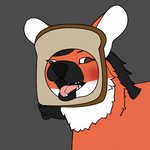 absurd_res ambiguous_gender black_nose bread brown_eyes canid canine cat_breading crimsoncolored derp_eyes feral food fur grey_background hi_res in_bread mammal maned_wolf meme open_mouth orange_body orange_fur pao_pao_(crimsoncolored) reaction_image simple_background solo tongue tongue_out