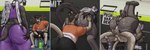 Rating: e
ID: 5586037
Date: 2025-05-20 13:04:04 -0400
Status: active
Score: 50
3:1 anal anal_penetration anthro anus avian balls big_butt bodily_fluids bottomwear butt butt_grab clothed clothing dripping duo erection erection_under_clothing eyewear feathered_wings feathers felid feline femboy genital_fluids genitals glasses gryphon gym hand_on_butt hi_res huge_butt humanoid_genitalia humanoid_penis male male/male male_penetrated male_penetrating male_penetrating_male mammal mythological_avian mythological_creature mythology nude oral penetration penile penile_penetration penis precum precum_drip rimming sex surprised_expression tail tall_lizzard_(artist) thick_thighs tongue topwear vein veiny_penis wide_hips wings post #5586037