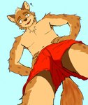 2024 absurd_res anthro athletic athletic_anthro athletic_male biped bottomwear brown_body brown_fur clothing fur hi_res hyena looking_at_viewer male mammal question_mark red_bottomwear red_clothing red_shorts sasibita shorts solo swimming_trunks swimwear yellow_eyes